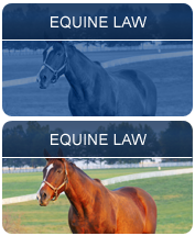 Equine Law